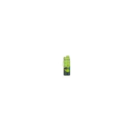 Isolierte Edelstahl-Trinkflasche Black Cat