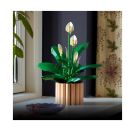LEGO® Botanicals 11504 Friedenslilie