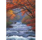 500T Fluss im Herbst