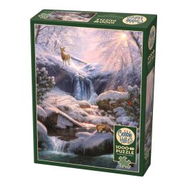 1000T Mystic Falls Winter