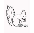 M. allererst. Malbl. Tiere