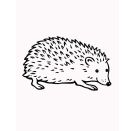 M. allererst. Malbl. Tiere