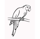 M. allererst. Malbl. Tiere