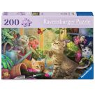 Verspielte Kätzchen
