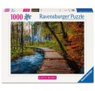 Herbstlicher Waldweg