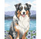 Ravensburger CreArt 12023114 - Australian Shepherd Merlin - Malen nach Zahlen ab 12 Jahren