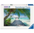 Ravensburger Puzzle 12001737 - Traumstrand auf den Malediven - 4000 Teile Foto-Puzzle für reiselustige Puzzle-Fans ab