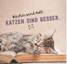Don t hurry, be Kitty!