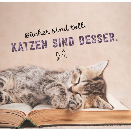 Don t hurry, be Kitty!