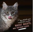 Don t hurry, be Kitty!