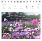 Postkartenkalender 365 Tage Gelassenheit 2027