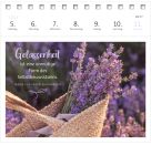 Postkartenkalender 365 Tage Gelassenheit 2027