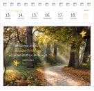 Postkartenkalender 365 Tage Achtsamkeit 2027