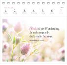 Postkartenkalender Lebensweisheiten 2027