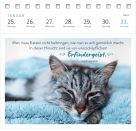 Postkartenkalender Katzenweisheiten 2027