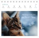 Postkartenkalender Katzenweisheiten 2027