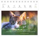 Postkartenkalender Katzenweisheiten 2027