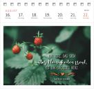 Postkartenkalender Glücksmantras 2027