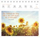 Postkartenkalender Ich wünsch dir was 2027