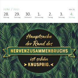 Mini-Wochenkalender Bevor ich mich jetzt aufrege, ist es mir lieber egal!  2027