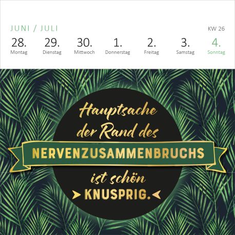 Mini-Wochenkalender Bevor ich mich jetzt aufrege, ist es mir lieber egal!  2027