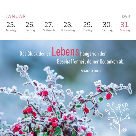 Mini-Wochenkalender Ein Jahr voll Glück 2027