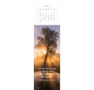 Lesezeichenkalender Weisheiten der Bäume 2027