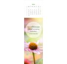 Lesezeichenkalender Glücksmomente für die Seele 2027