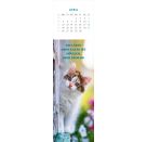 Lesezeichenkalender Katzenglück 2027