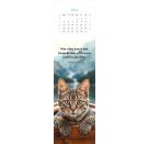 Lesezeichenkalender Katzenglück 2027
