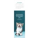 Lesezeichenkalender Katzenglück 2027
