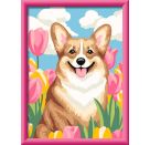 Corgi im Blütenmeer