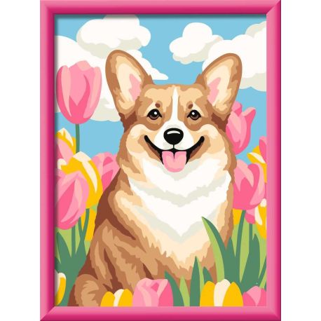 Corgi im Blütenmeer