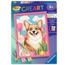 Corgi im Blütenmeer