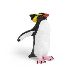 Felsenpinguin