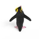 Felsenpinguin