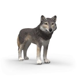 Amerikanischer Wolf