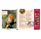 Vögel in unserem Garten - Mit 12 echten Vogelstimmen