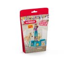 Siegerehrung nach dem Turnier