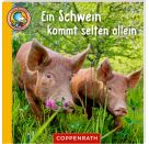 Linos Bauernhof-Bildergeschichten - (6 x 10 Ex.)