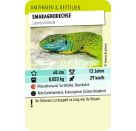 Tiere Toppen