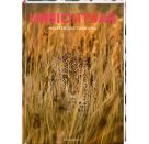 Unsichtbar - Meister der Tarnung