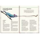 Unsichtbar - Meister der Tarnung