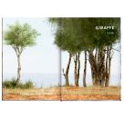 Unsichtbar - Meister der Tarnung