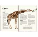 Unsichtbar - Meister der Tarnung