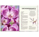 Unsichtbar - Meister der Tarnung