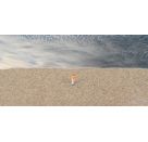 Streufasern, Wintergras, 2-3