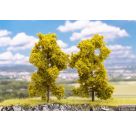 4 Laubbäume, hellgrün
