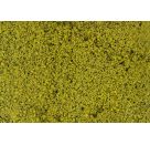 Blätterfoliage, hellgrün