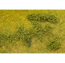 Blätterfoliage, grün